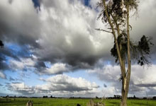 星空体育：失误！贝里瓦尔传球失误导致丢球，热刺总比分被扳平.