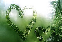 守护荣誉！陈幸同／钱天一横扫对手 晋级WTT总决赛女双四强央视新闻客户端.