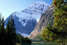 [CBA]夺得总冠军 辽宁队更衣室开香槟庆祝.